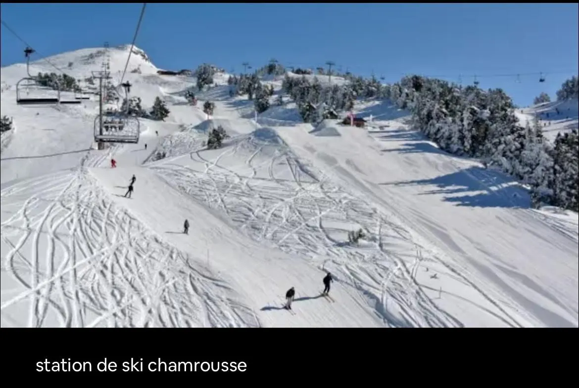 Le Chalet Avec Sa Plage Privee Saint-Theoffrey